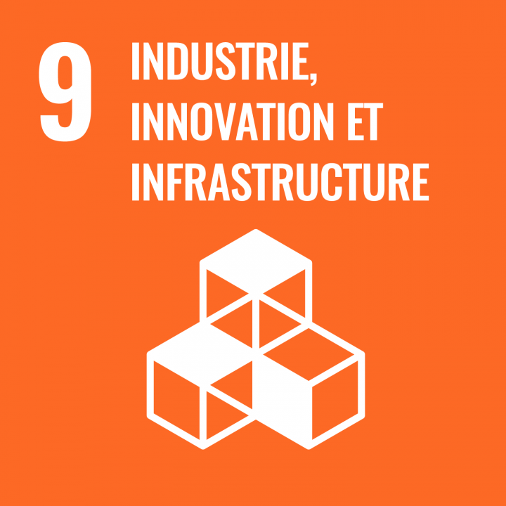 SDG 9 - INDUSTRIE, INNOVATION ET INFRASTRUCTURE